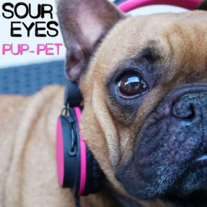 Lire la suite à propos de l’article Sour Eyes « Pup-Pet » EP