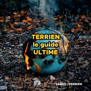 cargo terrien chronique
